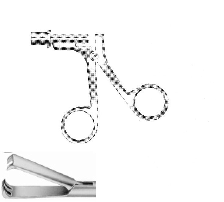 KISKAÇ AĞIZLI FORSEPS ÇAP  10 MM